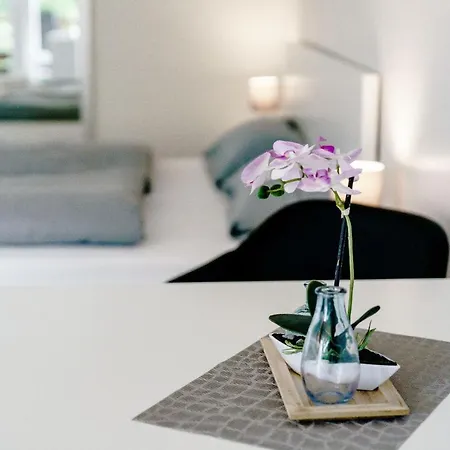 Haus Am Hs 337 아파트