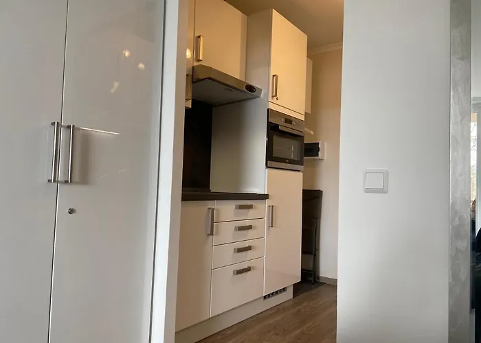 Haus Am Hs 337 公寓 戈斯拉尔