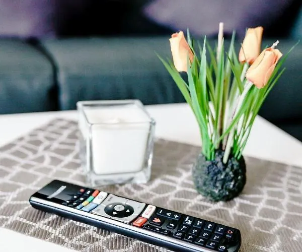 Haus Am Hs 337 * 戈斯拉尔