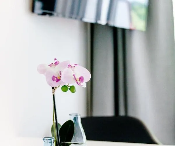 公寓 Haus Am Hs 337