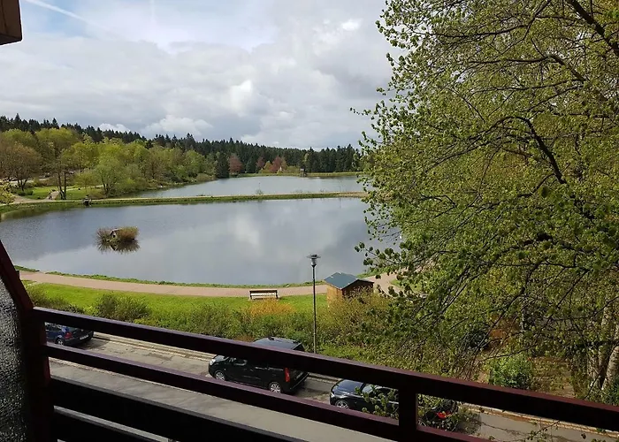 Haus Am Hs 337 公寓 戈斯拉尔